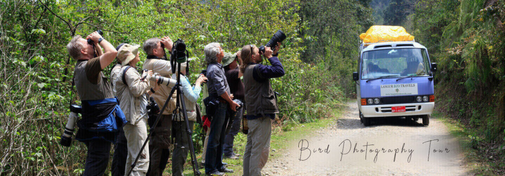Plan Your Bhutan Birding Tours With Langur Eco Travels Plan Your Bhutan Birding Tours With Langur Eco Travels