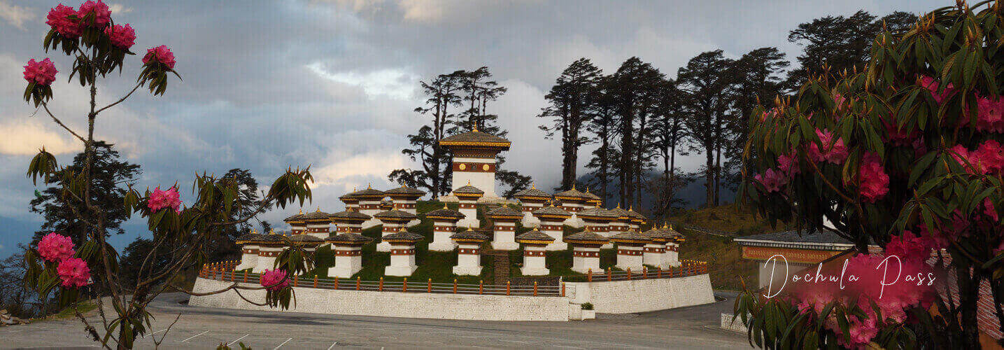 Dochula one of the best birding locations in Bhutan